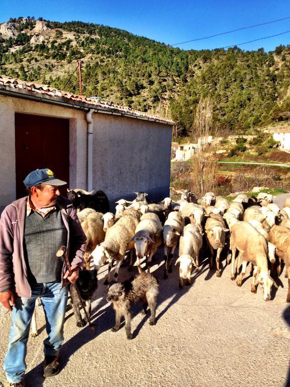 Casas Rurales Vegasierra Bogarra Bagian luar foto