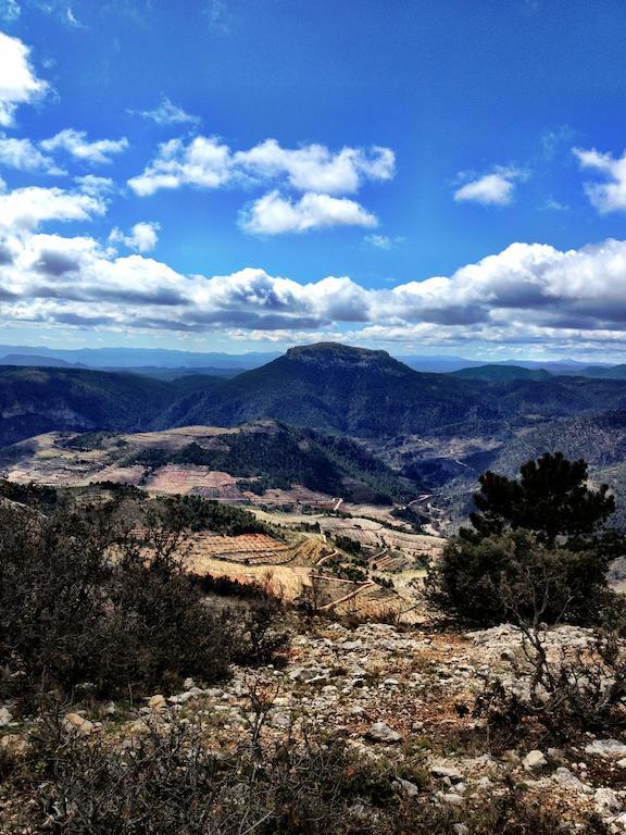 Casas Rurales Vegasierra Bogarra Bagian luar foto