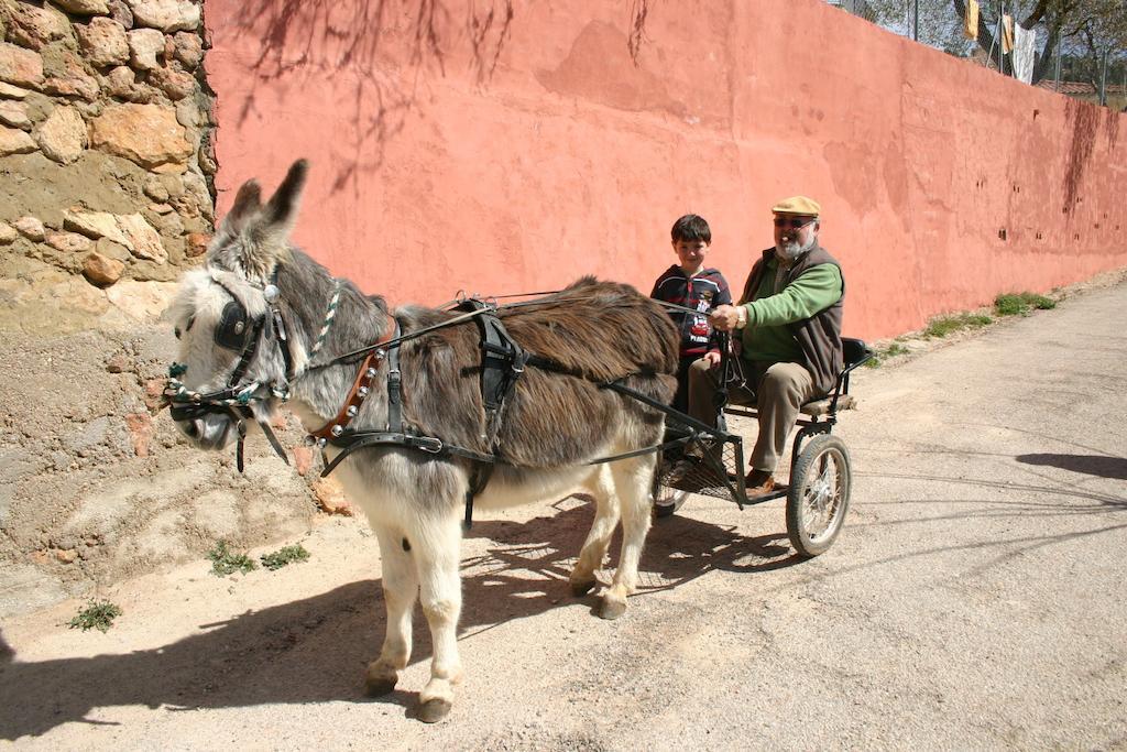 Casas Rurales Vegasierra Bogarra Bagian luar foto
